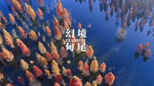 1死2伤！10车追尾！