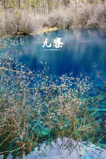 帮主你这是喜脉啊