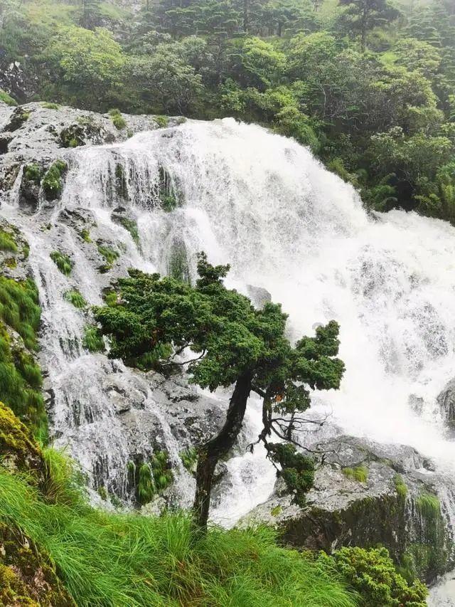 《宁安如梦》谢危吃醋姜雪宁张遮观雨，暧昧何滋味去看此处名场面